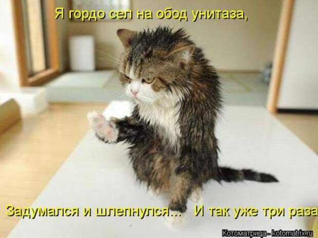 Новые крутые котоматрицы первой недели октября (50 фото) Новые крутые котоматрицы первой недели октября (50 фото)
