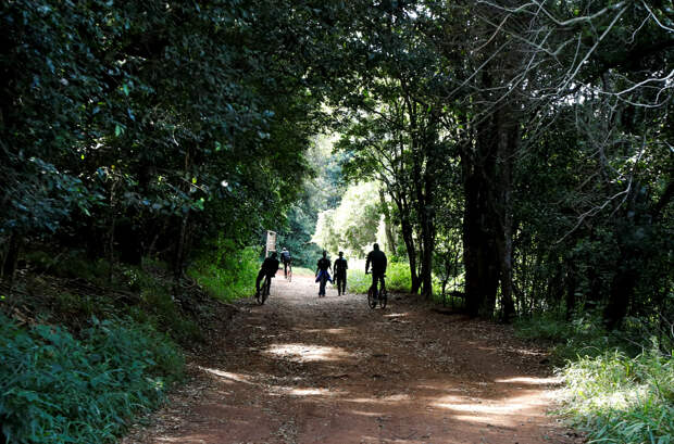 Организаторам фестиваля для любителей природы пришлось отбиваться от нудистов