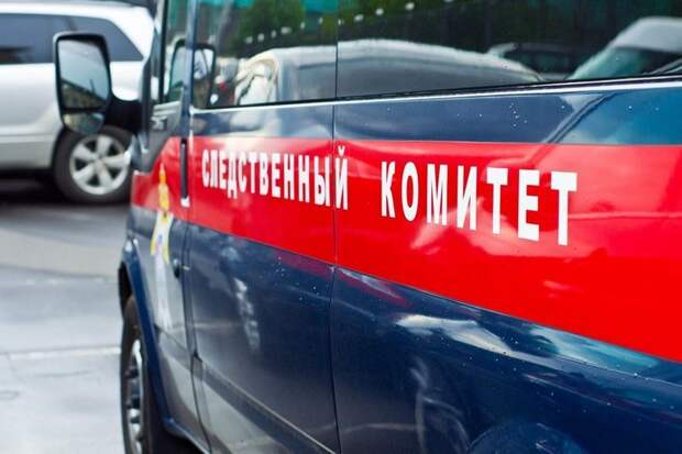 Московский репетитор похитил ребёнка