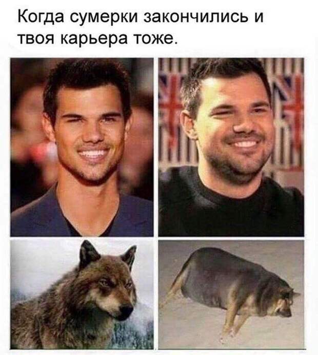 Подборка картинок. Вечерний выпуск (23 фото)