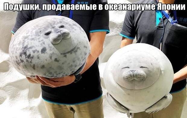 1571081399_0010.jpg