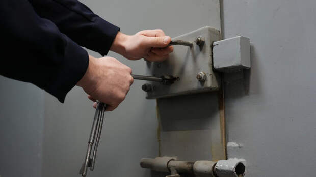 Польского наемника приговорили к 13 годам в ЛНР