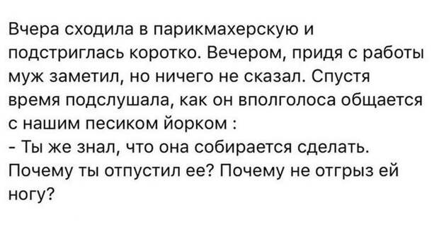 Реально смешные истории от пользователей Интернета – для вашей улыбки