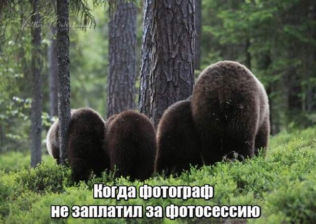 Прикольные картинки абавсём:D