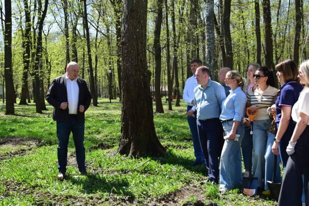 Редакция Бизнес-журнала высадила аллею из 20 кленов в Центральном парке Тулы