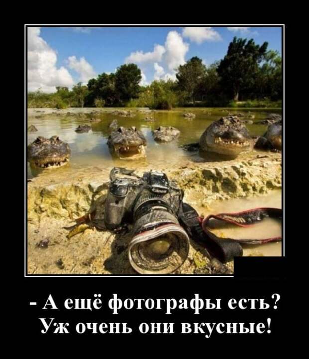 Демотиваторы (30 фото)