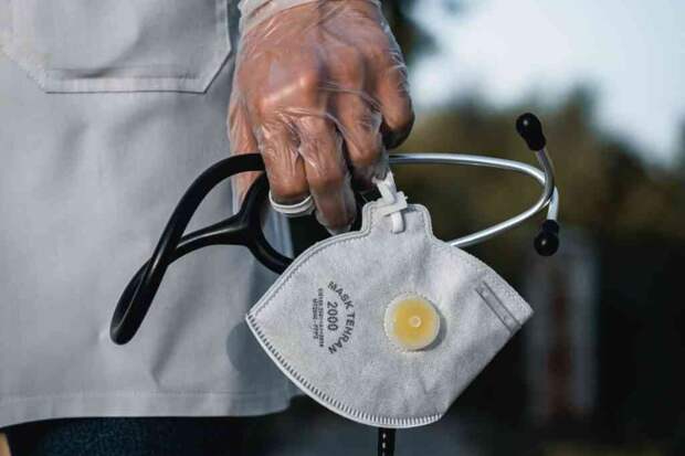 Завозных случаев вируса Нипах в России не зарегистрировано