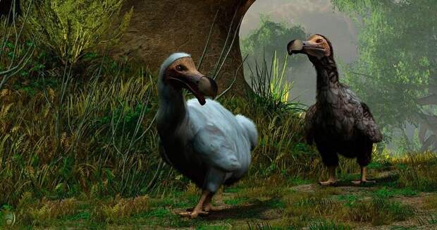 Ученые собираются возродить исчезнувшие виды животных