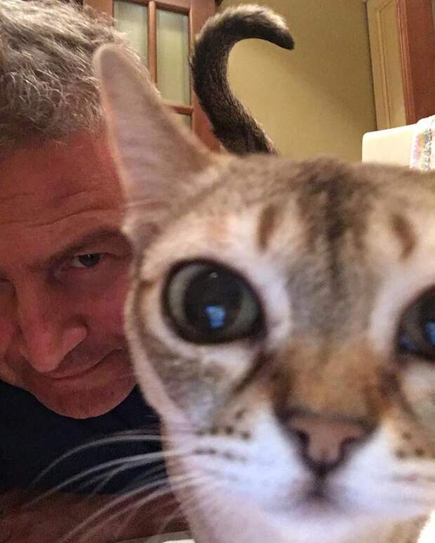 Леонид Агутин с кошкой Леонид Агутин с кошкой