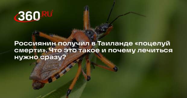 Инфекционист Кулова: болезнь Шагаса лечат таблетками от паразитов