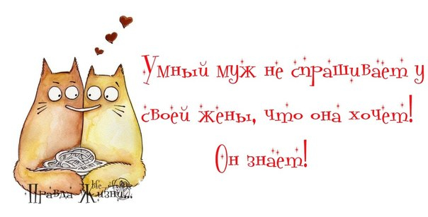 4809770_umyjik60 (604x307, 117Kb)