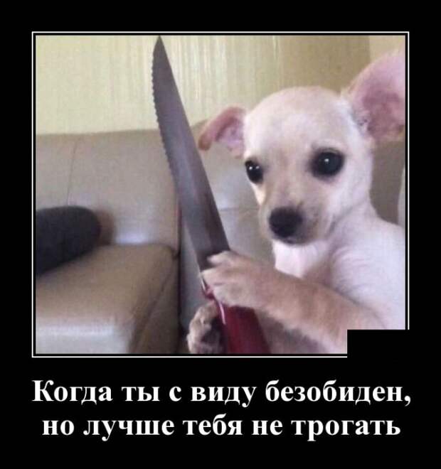 Демотиваторы (30 фото)