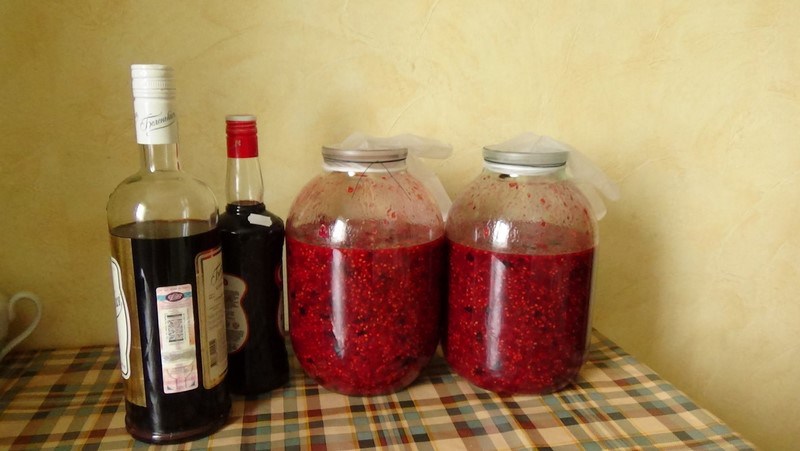 домашнее вино из малины
