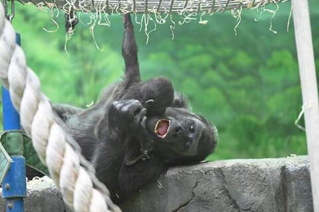 В 2026 году миру грозит новая пандемия