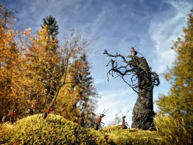 :     10 - BigPicture.ru