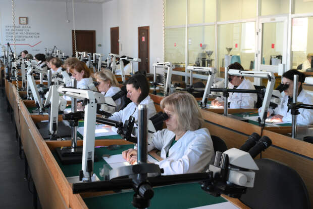 Одна из крупнейших компаний России отложила индексацию зарплат из-за кризиса