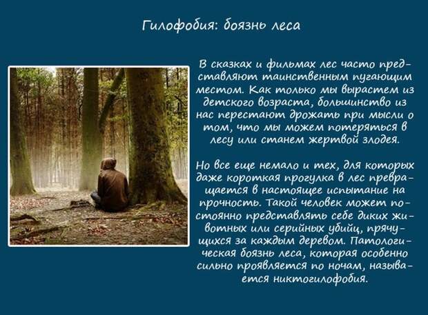Фобии, связанные с природой (10 фото)