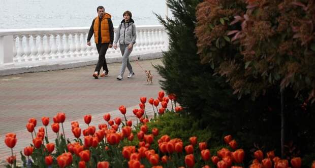 Россиян предупредили о неприятном парадоксе майских праздников