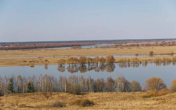 Названы 6 опасных районов Рязанской области из-за паводка на Оке и Мокше
