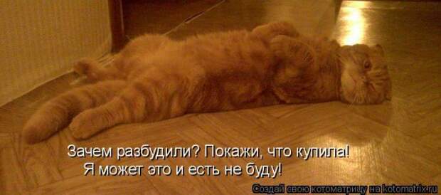 Мысли вслух :)