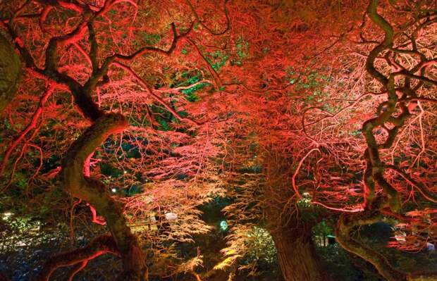 Сады Бутчартов (Butchart Gardens), остров Ванкувер, Канада