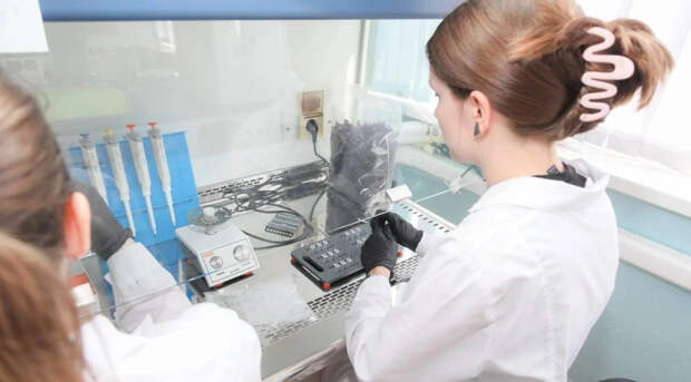 Система подготовки кадров для в Подмосковье: от школы до предприятия