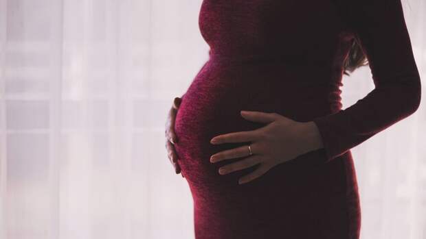 В совете по правам человека прокомментировали закон о суррогатном материнстве