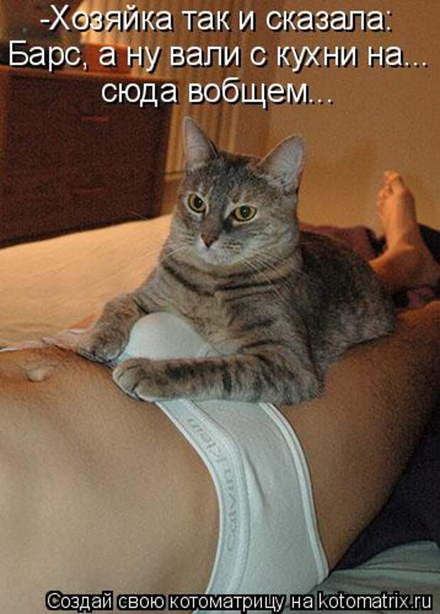 Новые крутые котоматрицы первой недели октября (50 фото) Новые крутые котоматрицы первой недели октября (50 фото)