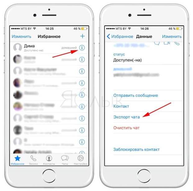 10 полезных опций WhatsApp, которые следует знать каждому