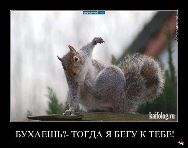 Демотиваторы и мотиваторы. Демки пятница Демотиваторы и мотиваторы. Демки пятница