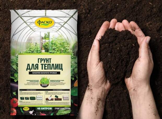 Грунт
