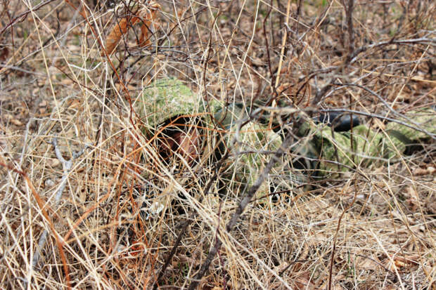 Разведчики ВВО отработали действия в тылу условного противника в ходе тренировки в Приморском крае