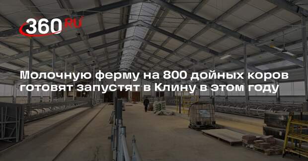 Молочную ферму на 800 дойных коров готовят запустят в Клину в этом году