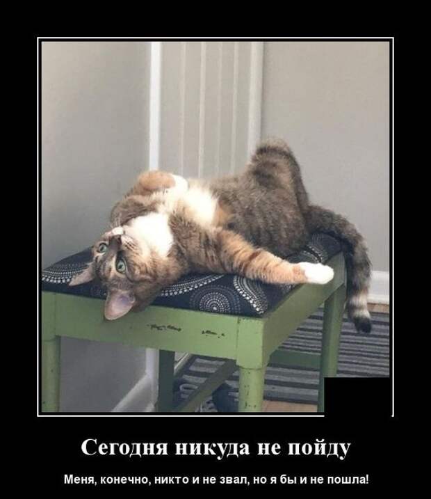 demotivatory-kartinki-smeshnye-kartinki-fotoprikoly