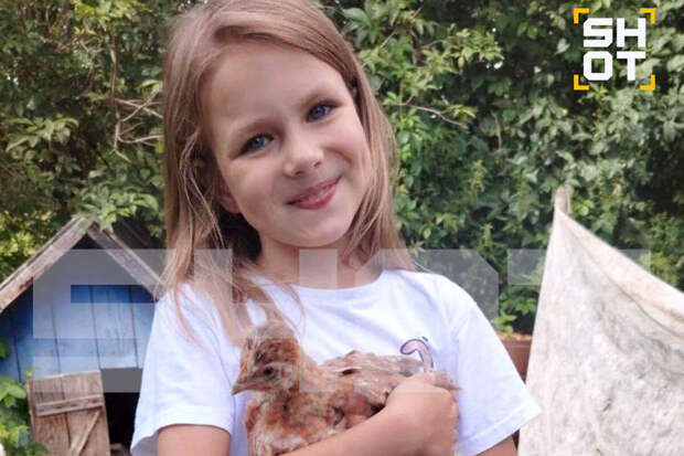 МК: на причастность к пропаже школьницы из Смоленска проверяют соседа