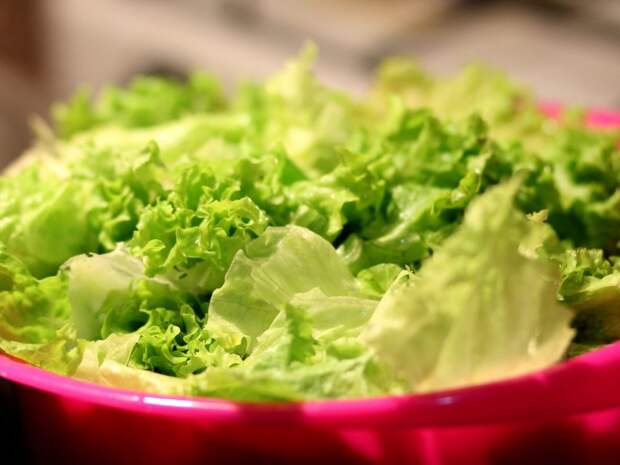 Виды салатов и как их есть
