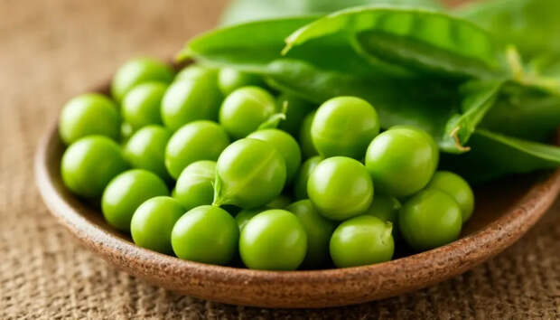 Сажаю горох по этой схеме — лопатки ломятся от стручков, соседи завидуют