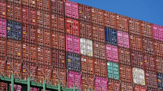 В Совфеде оценили анонс Трампом торговых пошлин в отношении сторонников БРИКС