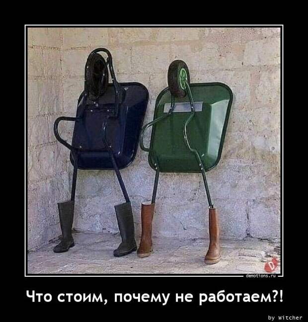 Демотиваторы для пятничного настроения: «С — смекалка» (17 фото)