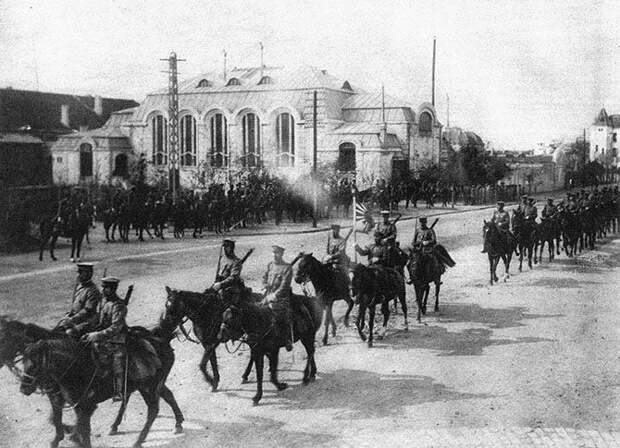 Животные в годы Первой Мировой войны война, животные
