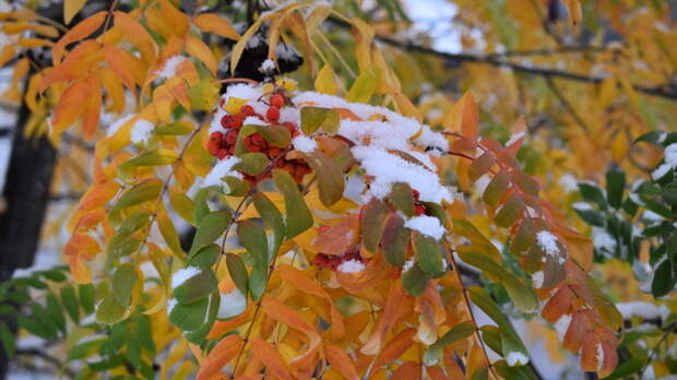 Снег / Фото: amic.ru