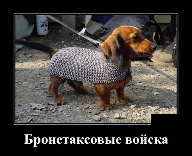 Демотиваторы (30 фото)