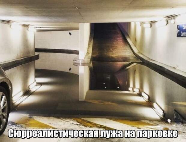 Подборка картинок