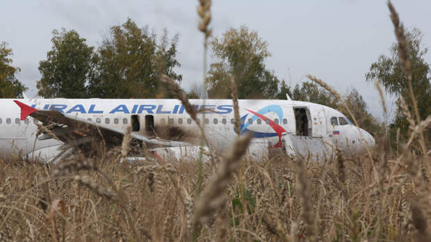 Сумма выплат «Уральским авиалиниям» в 11 раз превысила ущерб от посадки в поле