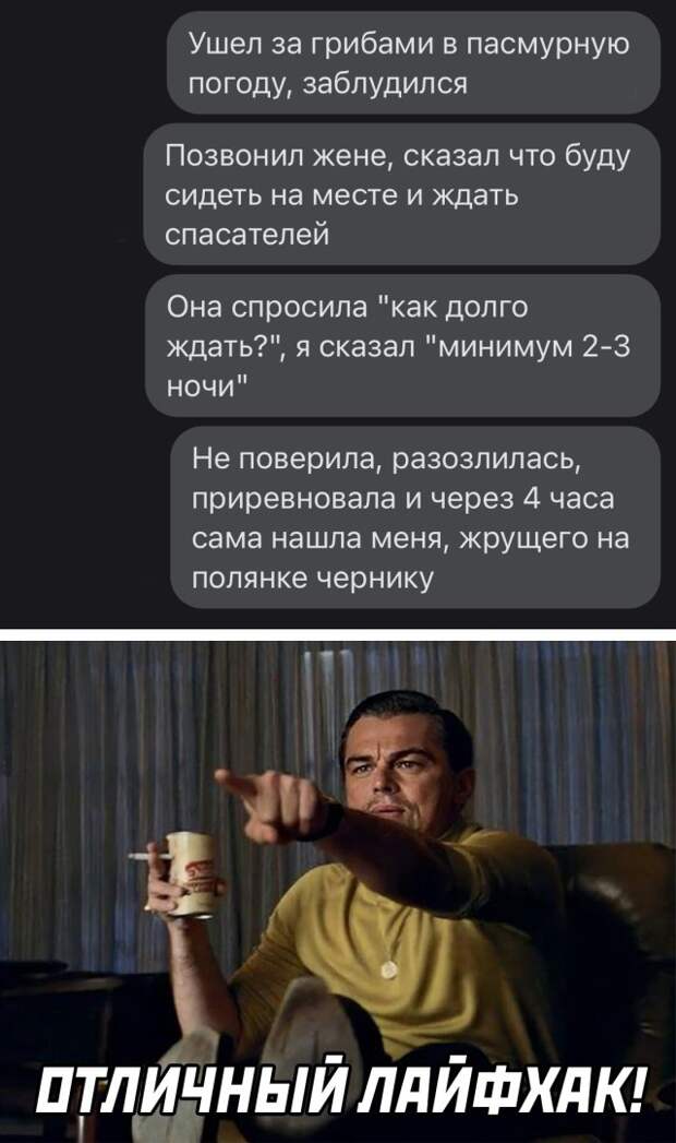 Смешные картинки вечер 1 июля 2021