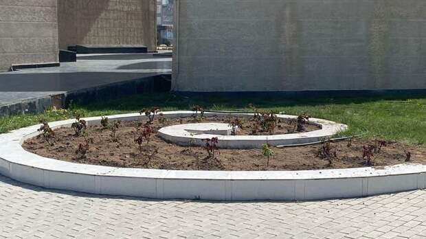 В Актау возле монумента «Вечный огонь»  высадили 202 розы