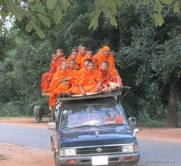 Прикольные фото