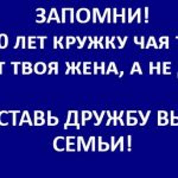 Самые правильные жизненные высказывания, к которым люди пришли не сразу…