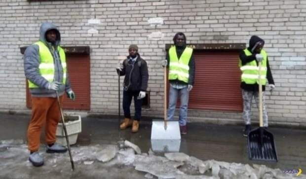 В Оренбурге начали работать первые 10 сенегальцев, сообщил мэр города Юмадилов