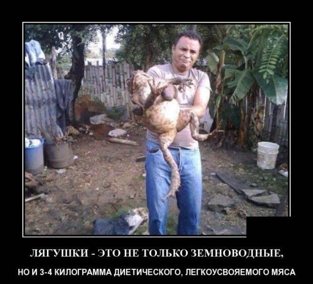 demotivatory-demotivator-smeshnye-demotivatory-demotivator-so-smyslom